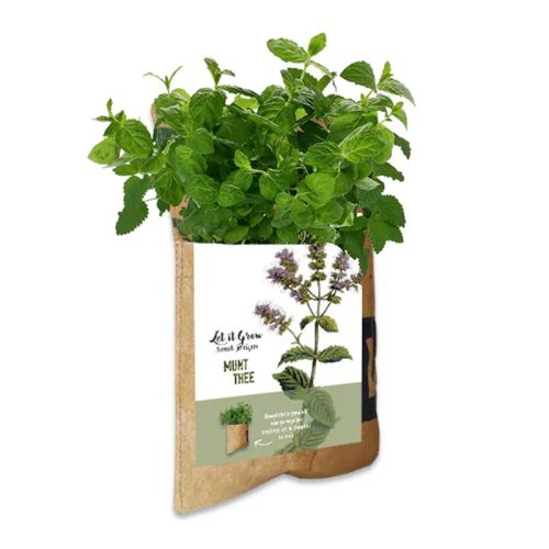 Hanging garden tea - Image 4